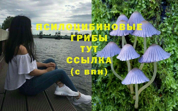 кокаин премиум Каменка