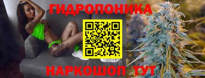 соль ск Пугачёв